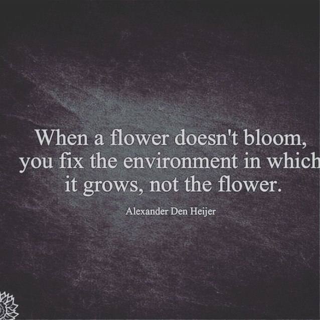 16142951_10208312697679744_240946303767547125_n